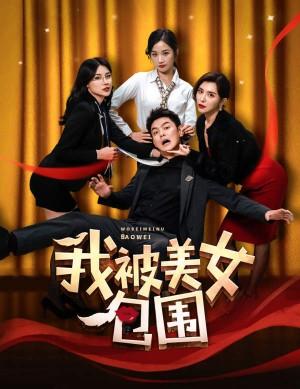 我被美女包围了