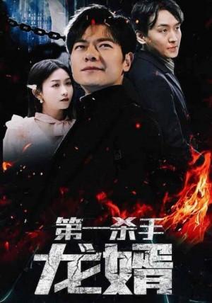 第一杀手龙婿
