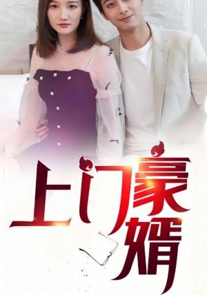 新：上门豪婿