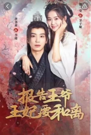报告王爷王妃要和离
