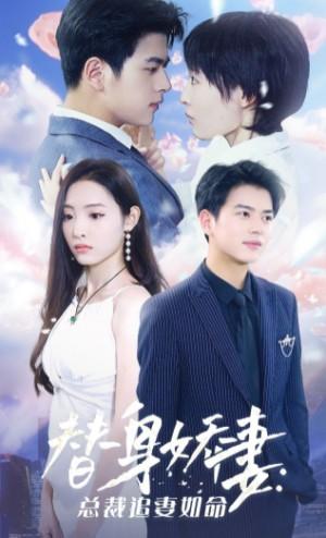 替身娇妻总裁追妻如命