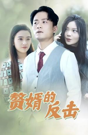 赘婿的反击