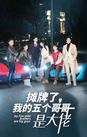 摊牌了我的五个哥哥是大佬