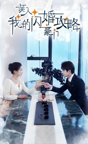 误嫁豪门我的闪婚攻略