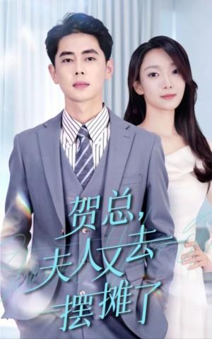 贺总夫人又去摆摊了