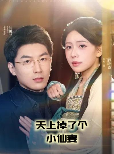 天上掉下个小仙妻