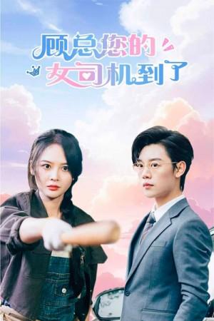顾总您的女司机到了
