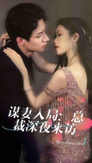 谋妻入局：总裁深夜来访
