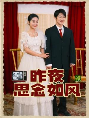 昨夜思念如风