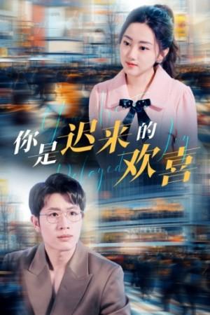 你是迟来的欢喜
